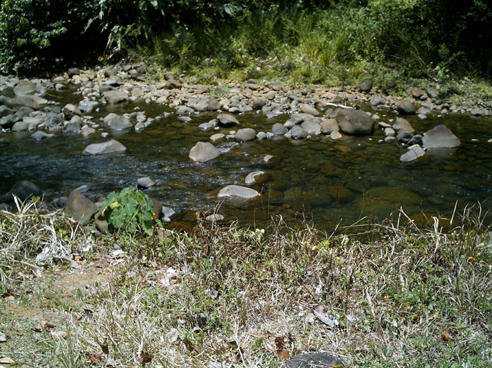 28 - Jardin des eaux 012.jpg